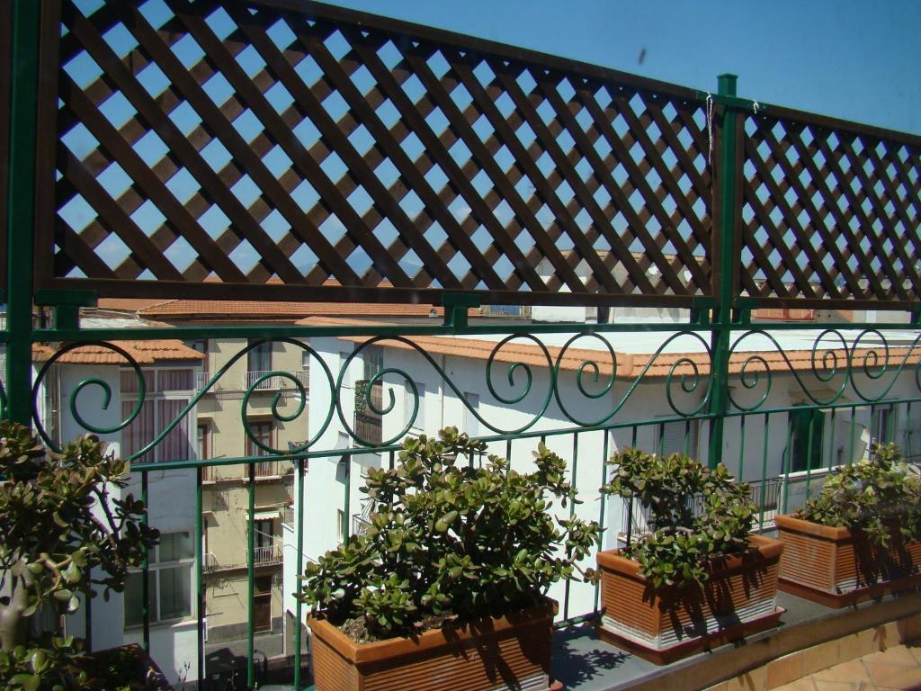 Sorrento Inn Guesthouse 외부 사진
